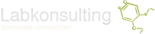 Logo Labkonsulting