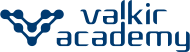 Logo Valkir Group