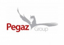 Logo Pegaz Group Sp. z o.o.