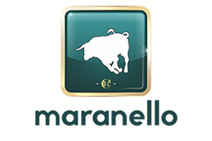 Hotel - Maranello Villa - logo