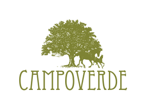 Centrum konferencyjno – wypoczynkowe Campoverde - logo