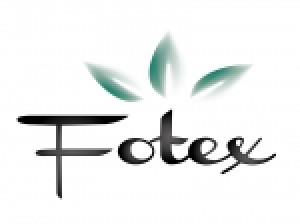Fotex - logo