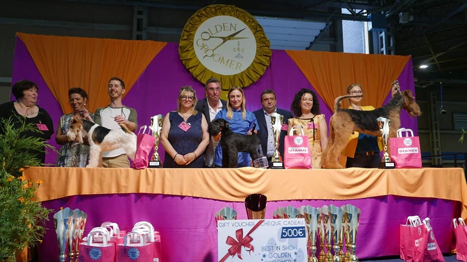 Bogna Andrzejczyk, konkurs groomerski Golden groomer 1 miejsce